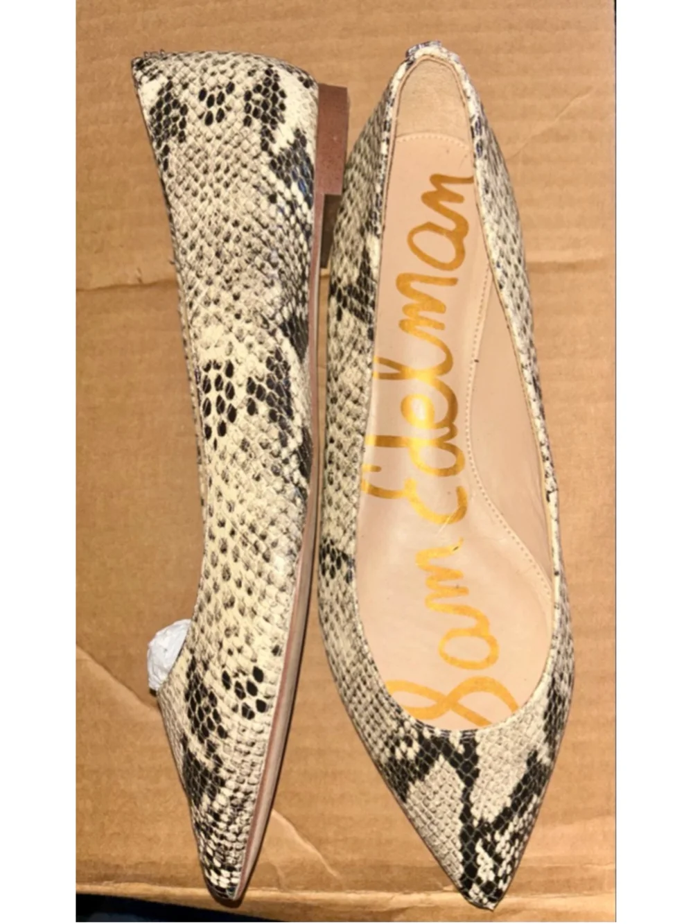 Sam Edelman chic pointed